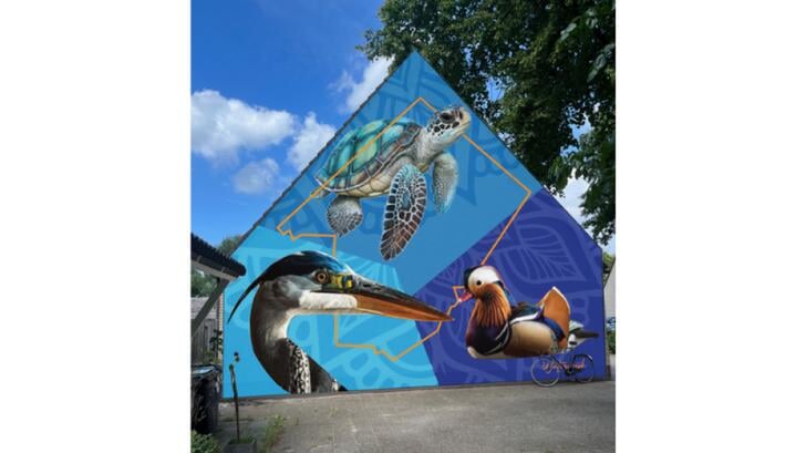 Ontwerp door kunstenaar Kasper Jongejan en buurtbewoners. (Eigen foto)