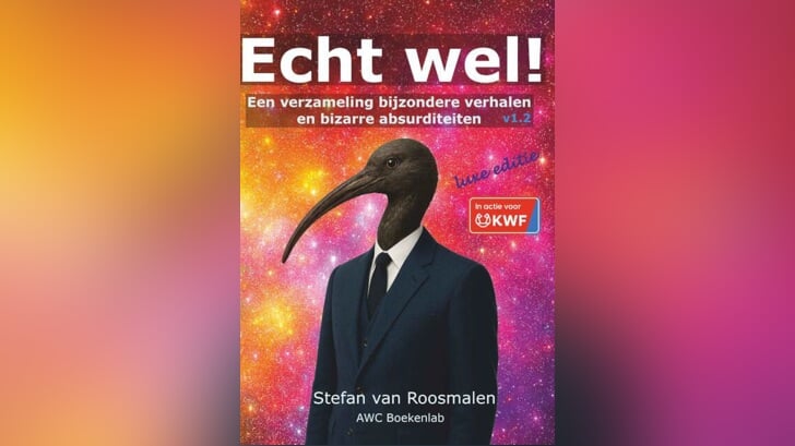Afbeelding