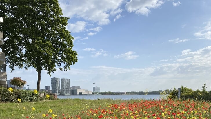 (Foto: Annerieke Groen)