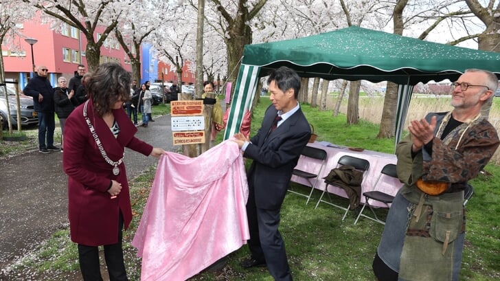 Locoburgemeester Maaike Veeningen, de ambassadeur van Japan en kunstenaar Jos Bregman onthulden een bord dat aangeeft dat de bloesembomen zijn toegevoegd aan het Groot Nederlands Stadsbos. (Foto: Fred Rotgans)