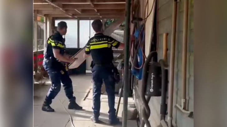 Agenten doorzoeken het centrum (Archieffoto: aangeleverd via TikTok)