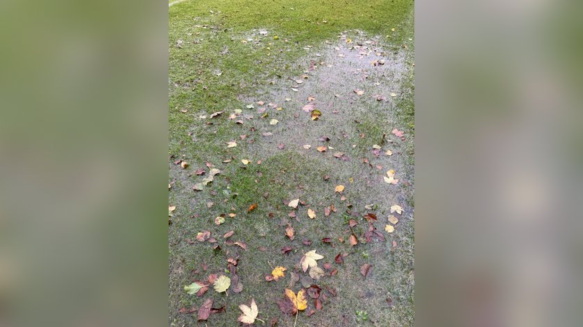 Schelluinen-DFC ligt eruit: veld onbespeelbaar door de regen
