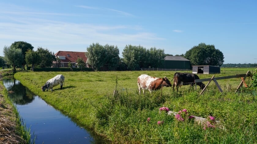 Provincie wil regels aanpassen: meer ruimte voor datacenters en woningen in landelijk gebied