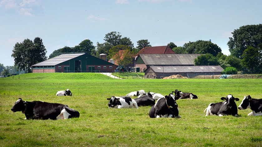 CDA Land van Cuijk: ‘Wij staan pal voor onze boeren’