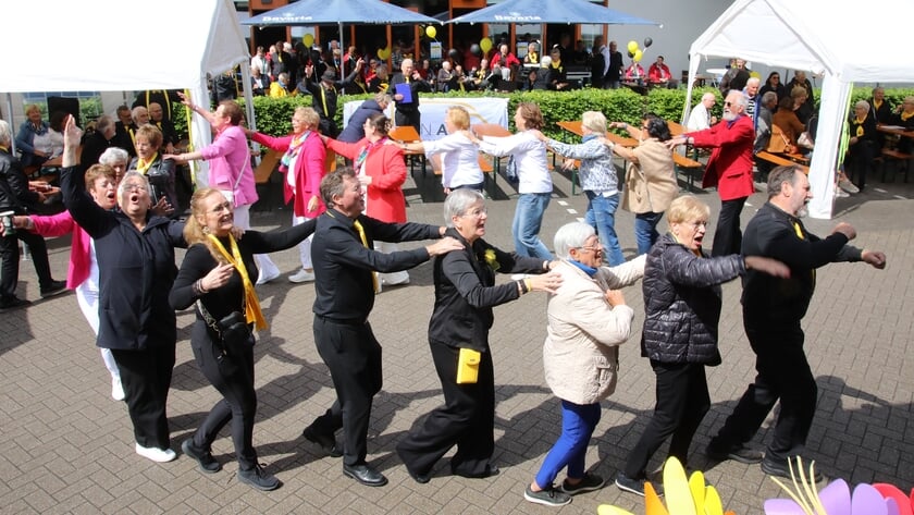 Geslaagd muziekfestijn van Rawazzi