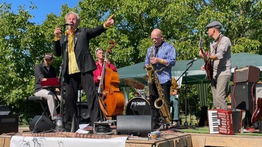 De band Koi met wereld-popmuziek tijdens het optreden op Festival Den Andel in 2022. Zij zullen dit jaar weer van de partij zijn.