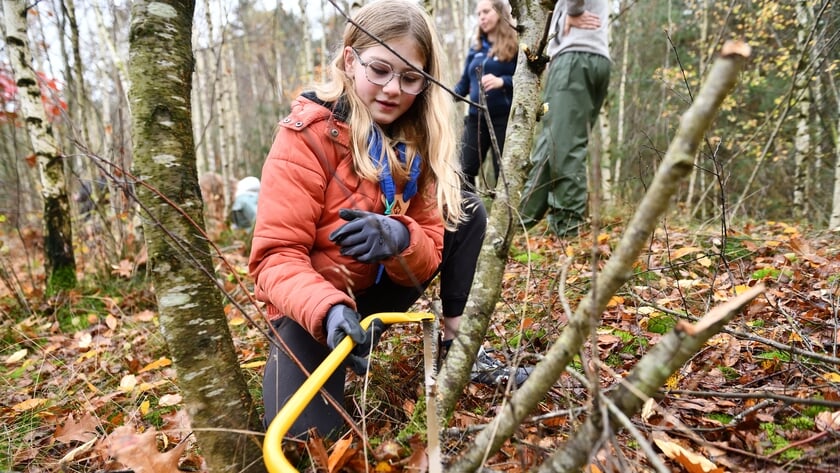 Natuurwerkdag op zaterdag 1 november