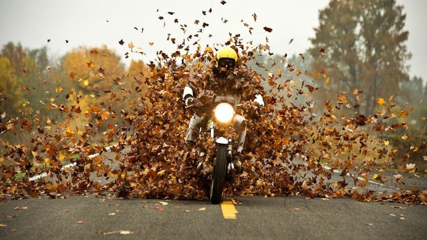 Snertrit MTC d’n Dommel