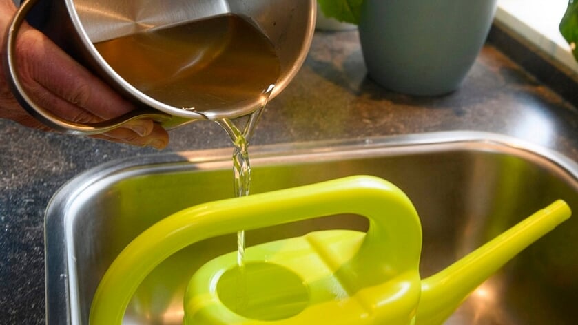 Tips van Waterschap De Dommel om water te besparen in en om het huis