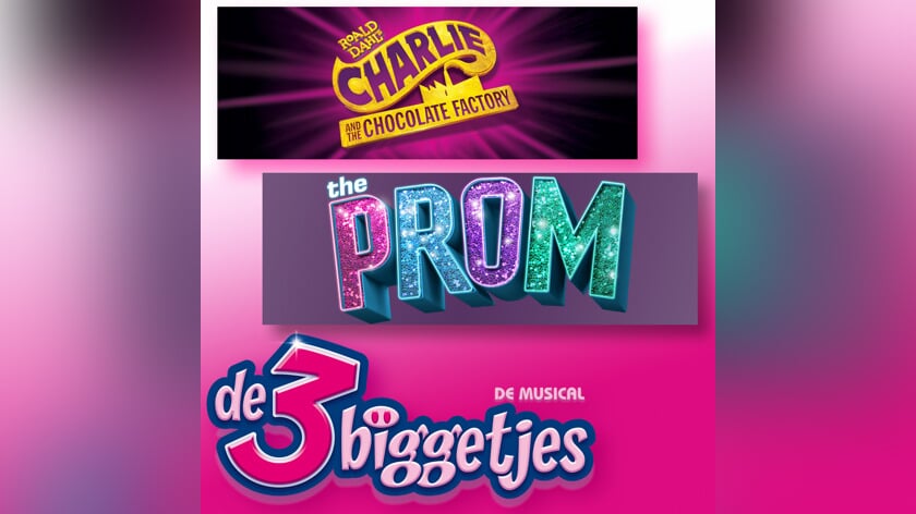 RJT Musicals opent audities voor drie producties