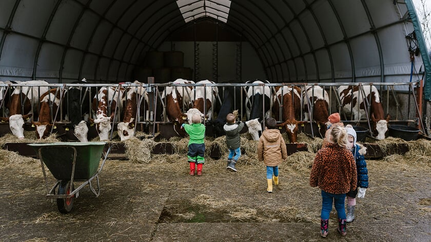 Kinderopvang Hoeve Ackerdijk