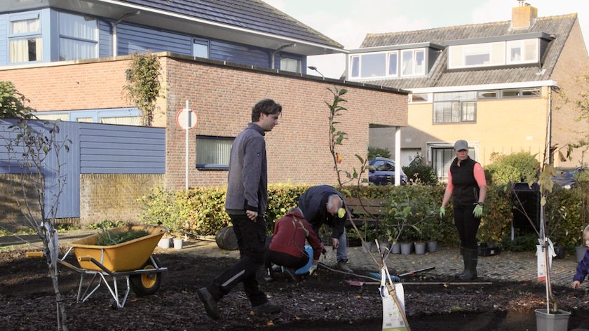 Verwilderd rosarium wordt fraaie buurttuin
