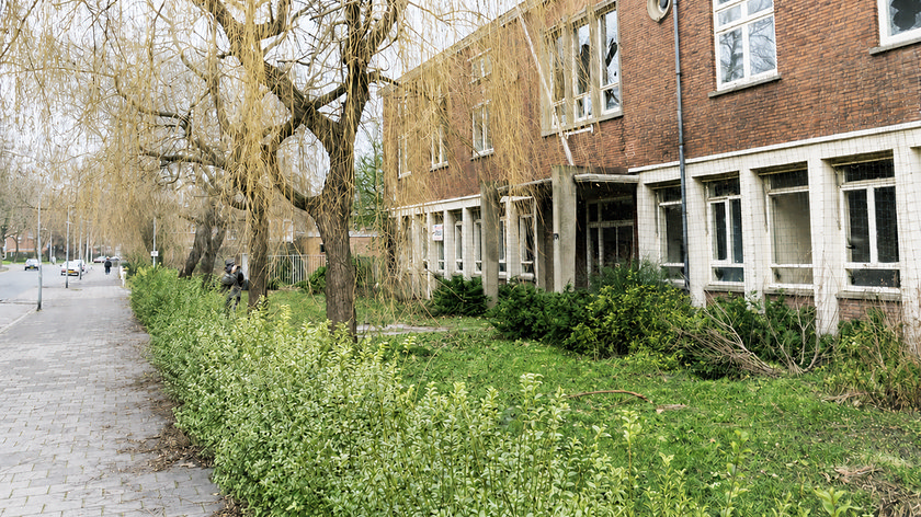 Dubbel Delft 10/10