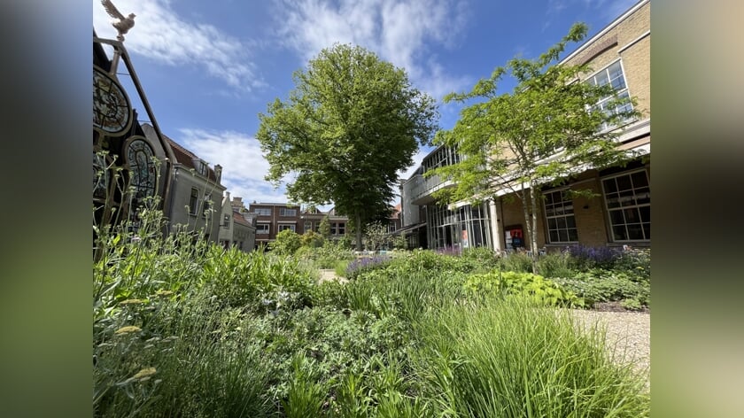 Paul Casteleijn trots op tuin van Piet Oudolf