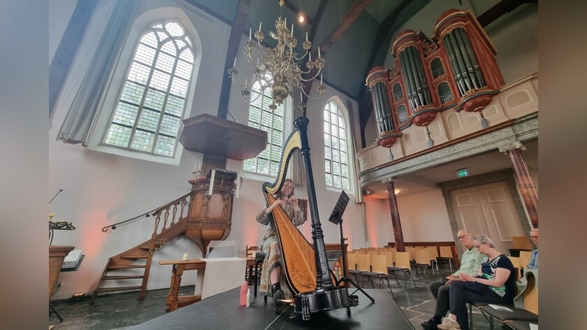 Concert voor harp en insectenspray