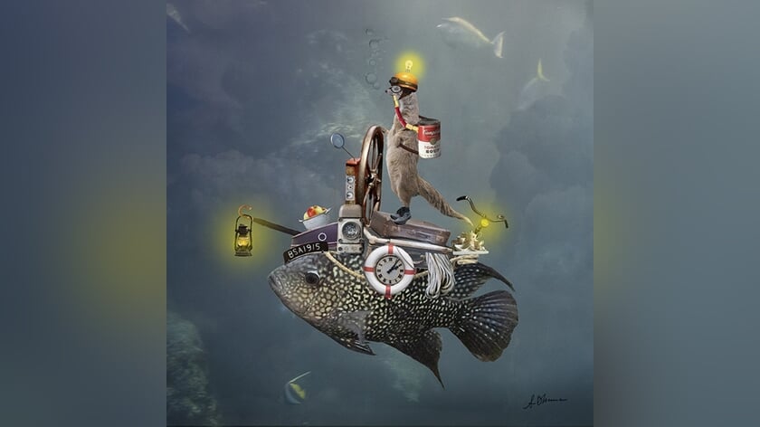 art cover