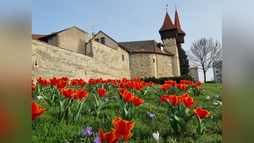 Tsjechische muziek in de Dorpskerk