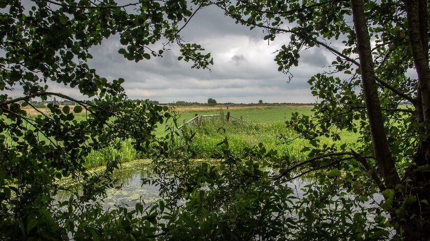 IVN-excursies door de polder