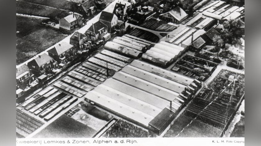 Terug in de Tijd: Dit stond er vóór winkelcentrum De Aarhof