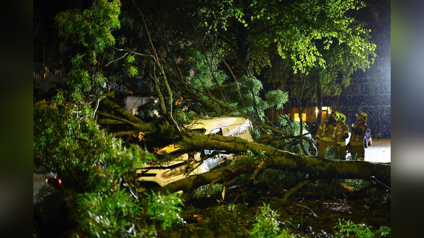 Foto’s stormschade