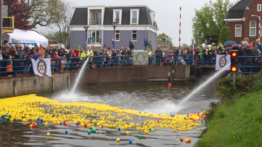De badeendjes hebben al eerder een race gehad in Bedum. Dat vond toen onder grote belangstelling plaats. Foto: Jonnie Mennes.