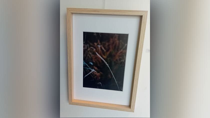 Een van de foto's van Jorijn Roorda.
