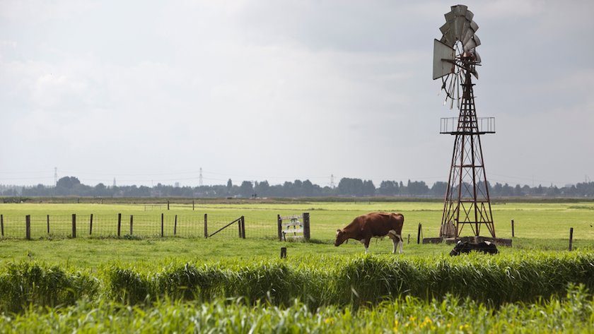 art cover