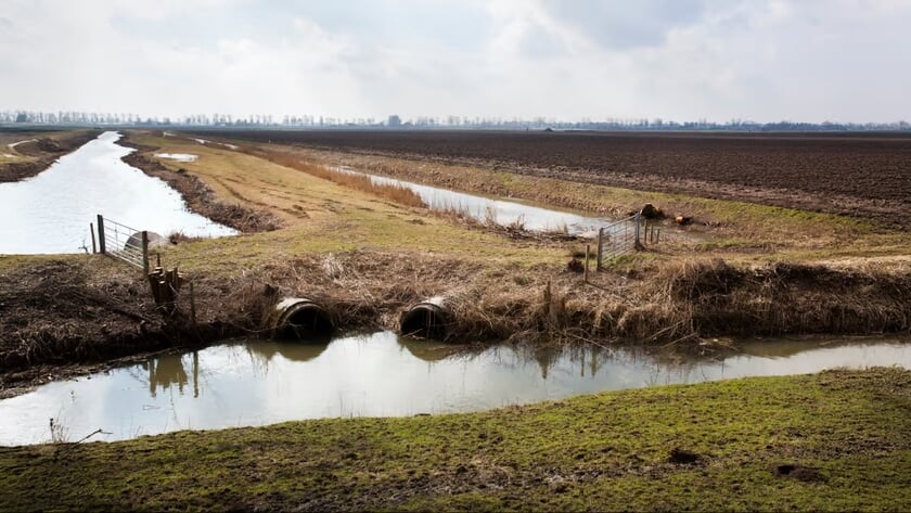 Zonder gezonde oevers geen leven: Zuid-Hollands Landschap luidt noodklok