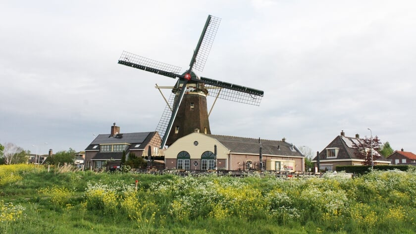 Windlust open tijdens Molendag