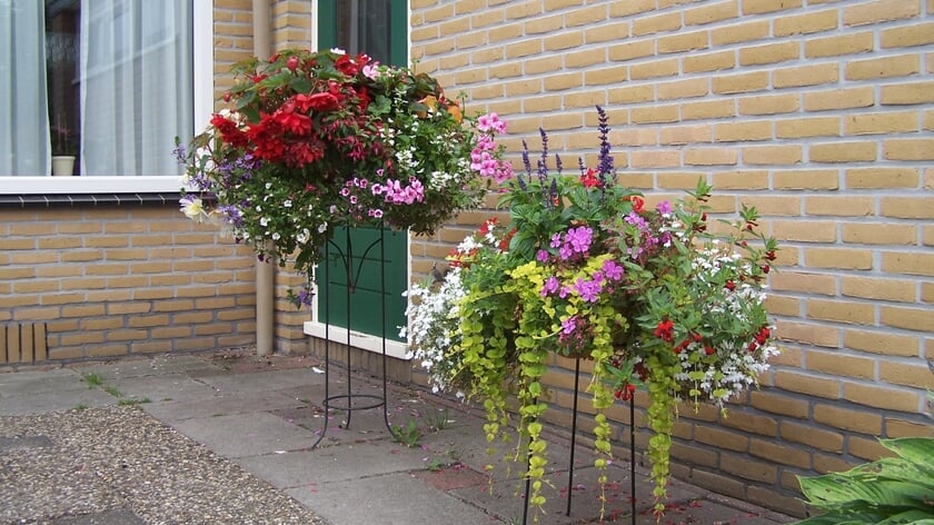 Tijdens de workshop kan men zelf een hanging basket vullen bij Kwekerij Van Oostwaard in Zuidbroek. 