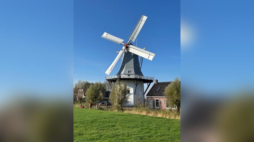 Molen De Wetsinger in Wetsinge.