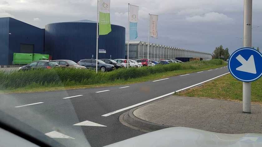 Kat aangereden op Komkommerweg in Pijnacker – oproep aan eigenaar om zich te melden