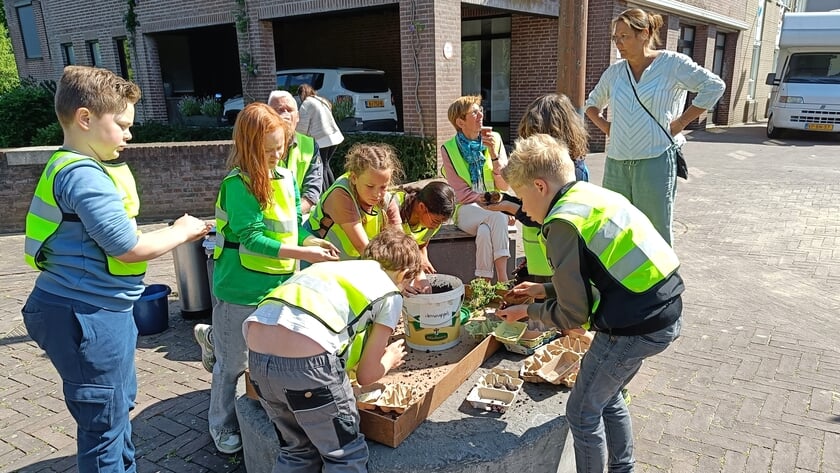 Stoepplantjes-bingo bij de Jeugdnatuurwacht