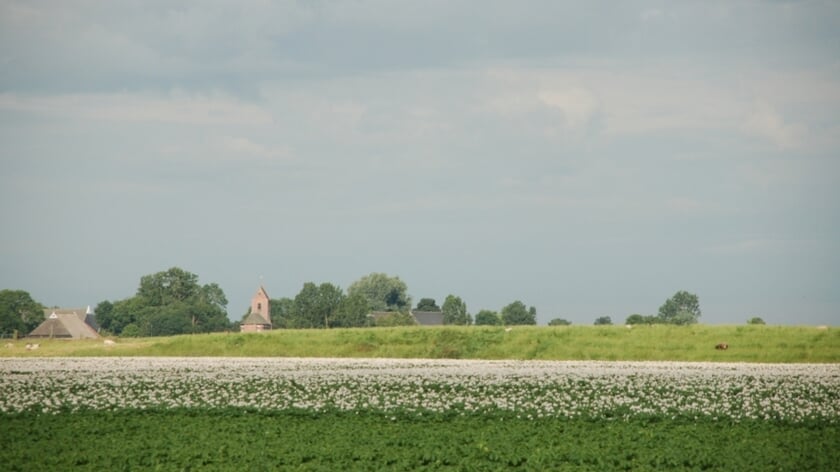 Afbeelding