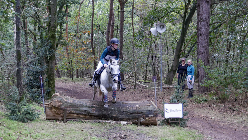 Topweekend voor paardensport