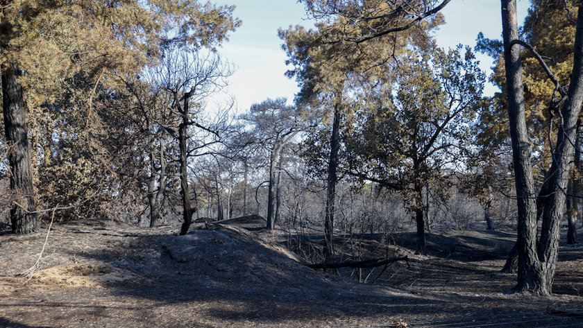 Oorzaak brand Boschhuizerbergen onbekend