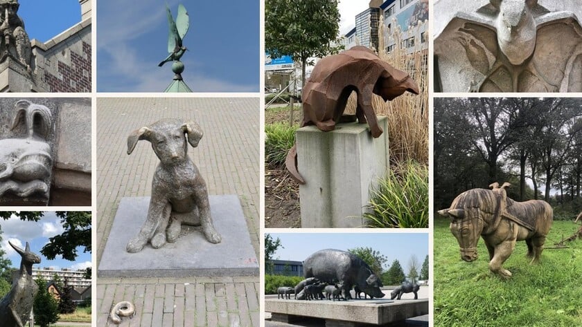 “Gewoon, omdat ik dierenkunst leuk vind”