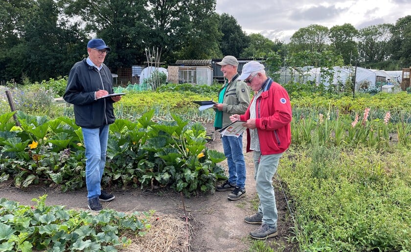 Wie heeft dit jaar de mooiste tuin van Rooi?