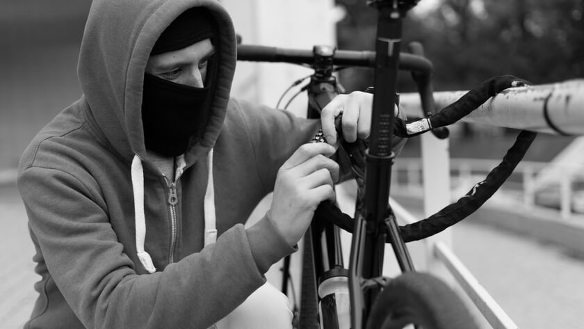 Nijnsel geteisterd door dieven