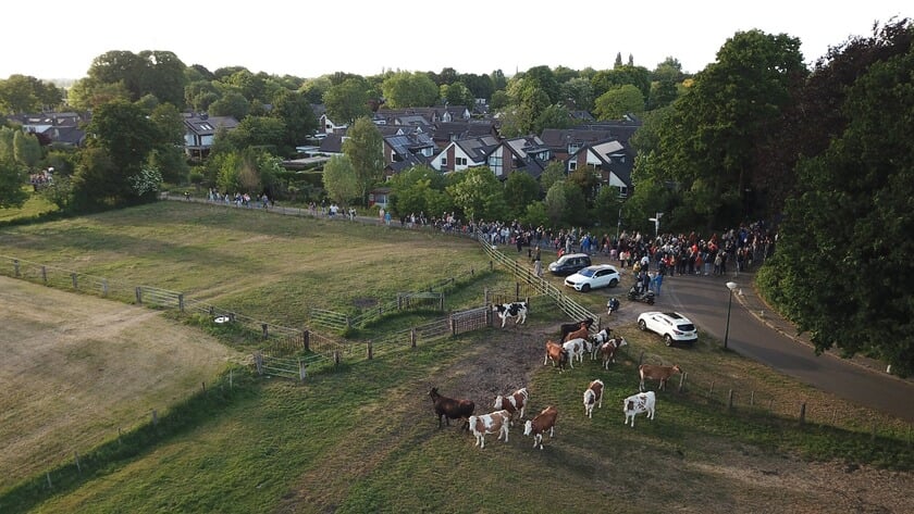 Avond Vierdaagse Maartensdijk goed verlopen