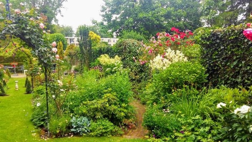 Open Tuinenweekend Groei & Bloei in vijftien tuinen in Baarn
