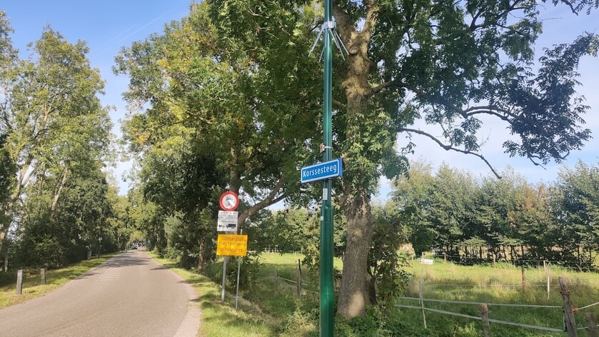 Camera controleert spitsafsluiting