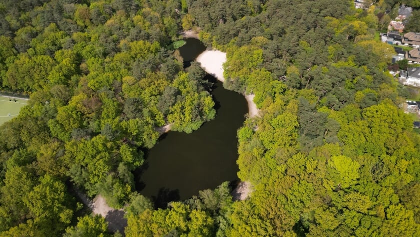 Natuurbehoud door ruil bosgronden