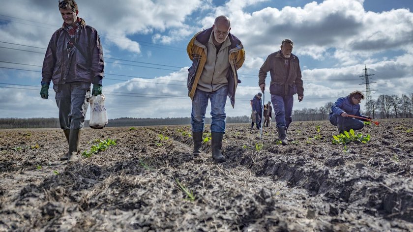 Schatzoeken op de Puttense akkers: De Tien Malen zoekt geïnteresseerden voor archeologische werkgroep