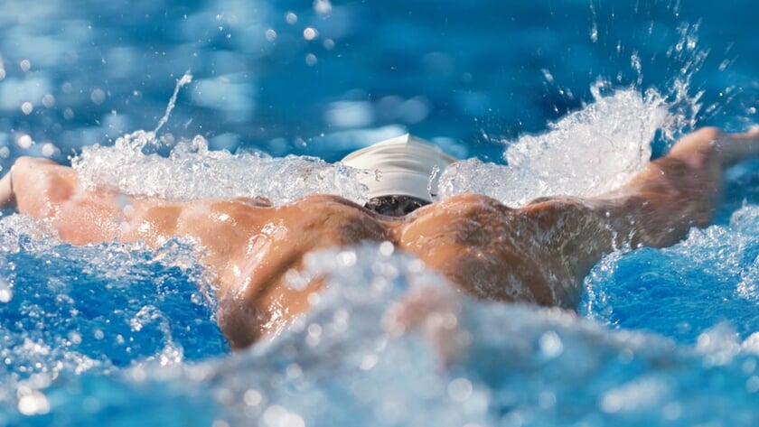 Mei(den)maand: Waterpolodames gezocht