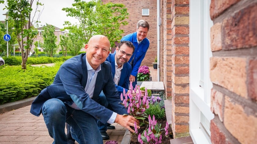 Geveltuin brengt kleur in de buitenruimte