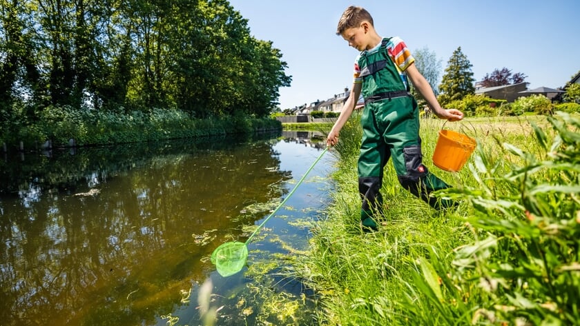 Waterschap Hollandse Delta ligt op koers en sluit 2024 af met positief resultaat