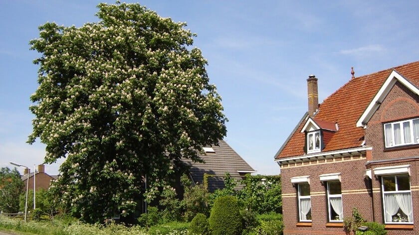 Expositie: ‘Strijen, het groene dorp langs de keen’