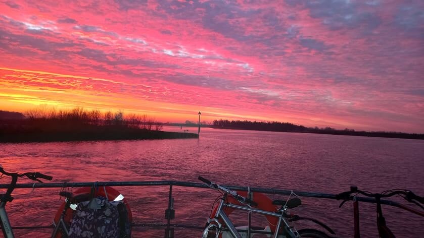 Gedicht Liesbeth Goedbloed over Rhoons veer