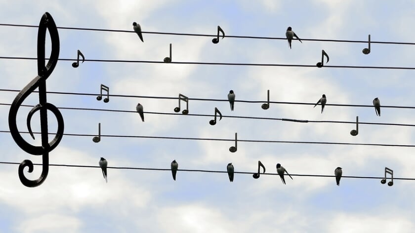 Buitenconcert MaasMuziek dinsdag 8 juli gaat NIET door
